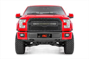 Ford Mesh Grille w/30 Inch Dual Row Black Series LED 15-17 F-150 Rough Country